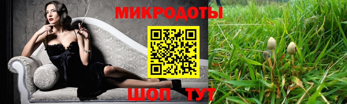 Галлюциногенные грибы MAGIC MUSHROOMS  Вход с VPN  Владикавказ  даркнет сайт  Псилоцибиновые грибы GOLDEN TEACHER 